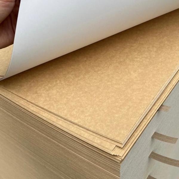 Eco Conscious Disposable Coated Kraft Paper From FSC Certified China Paper Factory