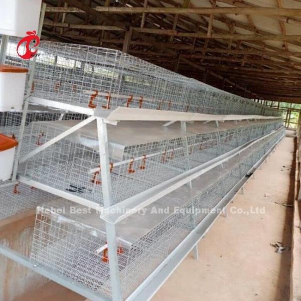 3 Or 4 Tier Chick Rearing Cage H Belt Manual Cleaning System 2x2x1.6meters Doris