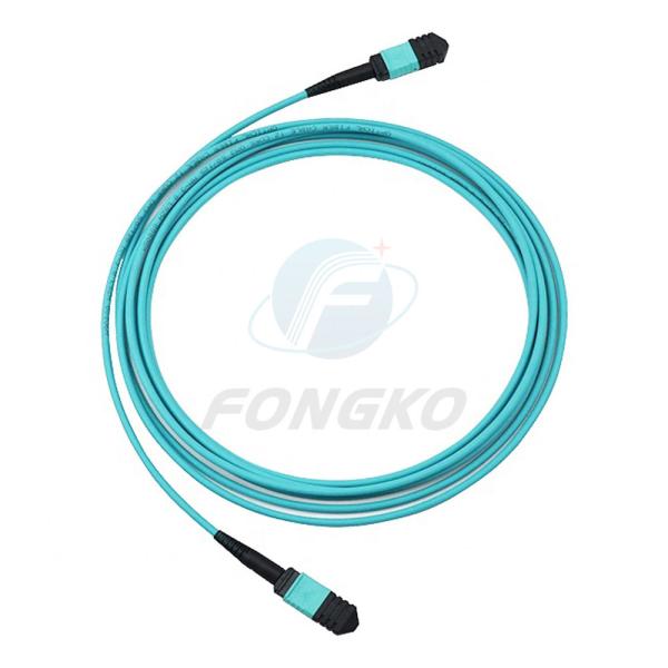 Профессиональный изготовитель 12 patchcord оптического волокна Patchcord OM3-300 женское MPO оптического волокна ядров в 1 метр