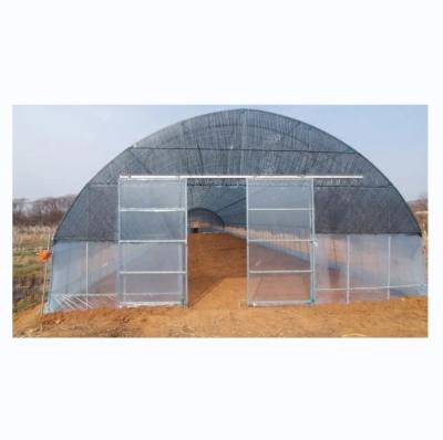 High Tunnel Film Covered Tomato Greenhouse with Shade Net Single Layer 10-100m Length
