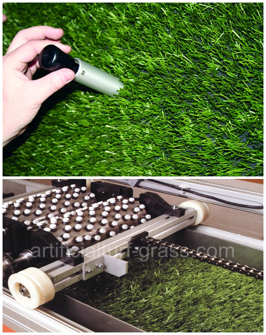All Victory Grass (Guangzhou) Co., Ltd