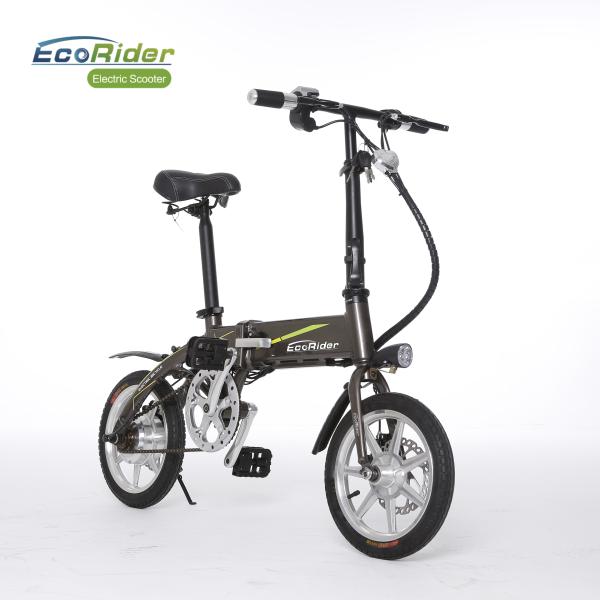 Smart Foldable Electric Biker 2 Wheel Electric Bike With Removeable Lithium Battery