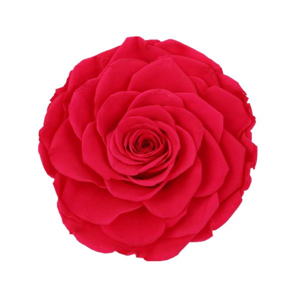 Decorative Preserved Rose Heads Maintain Natural Beauty & Colour For A Long Time