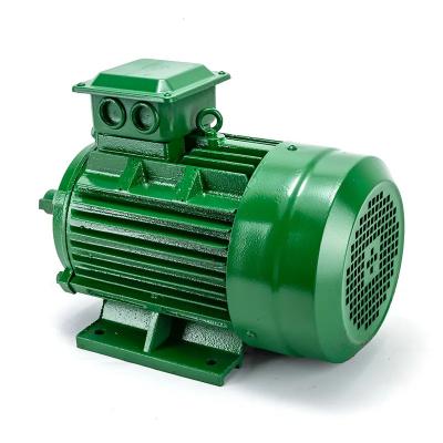 Motor de indução monofásico e trifásico Máquina de indução trifásica 3ph 5,5kw 4kw Ip55
