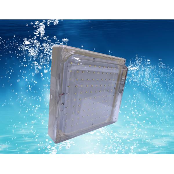 O gel de silicone conduzido impermeável da lâmpada do armazenamento IP68 frio selou 20W