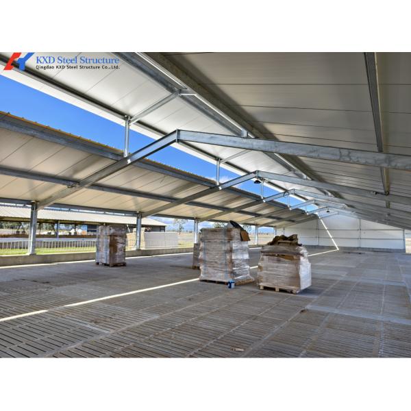 Piggery Equipment Automatic Pig Feeder Stainless Steel Pigs Feeding Trough