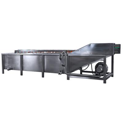 Máquina de lavar frutas industriais de 500 kg/h