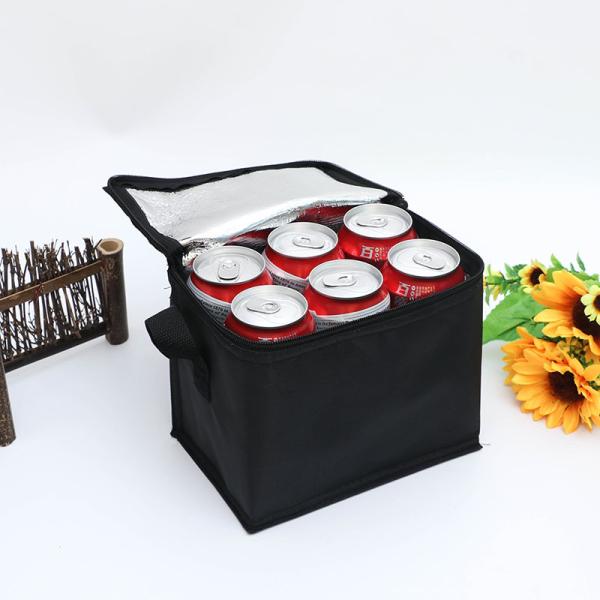 Custom Logo Soft-loop Cooler Bag for Insulated Green Grocery Picnic Beer and More