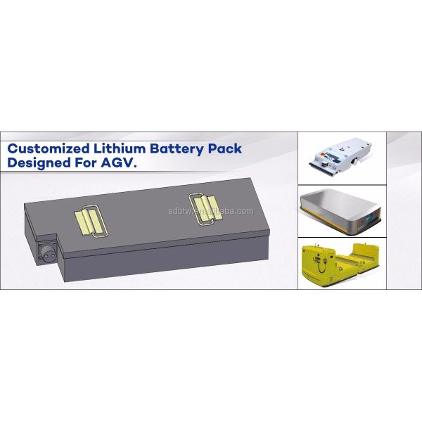 480Wh Lithium Iron Phosphate Battery Pack THLB 24V 20Ah Lifepo4 Battery