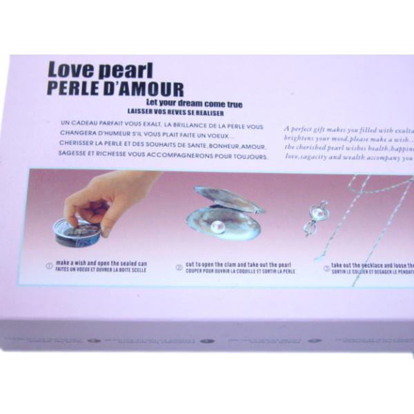 French Versions Color Box  Love Pearl Necklace Gift Box With Fashion Cage Pendant for Special Holiday Gift