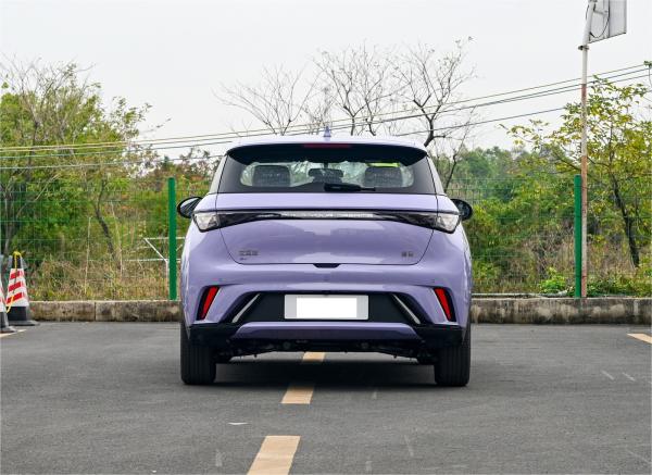 2024 BYD Dolphin Electric Vehicle With 420km Range