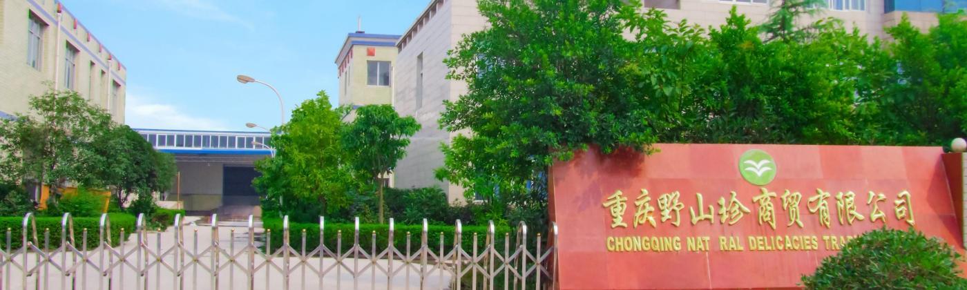 Chongqing Yeshanzhen Trading Co., Ltd.
