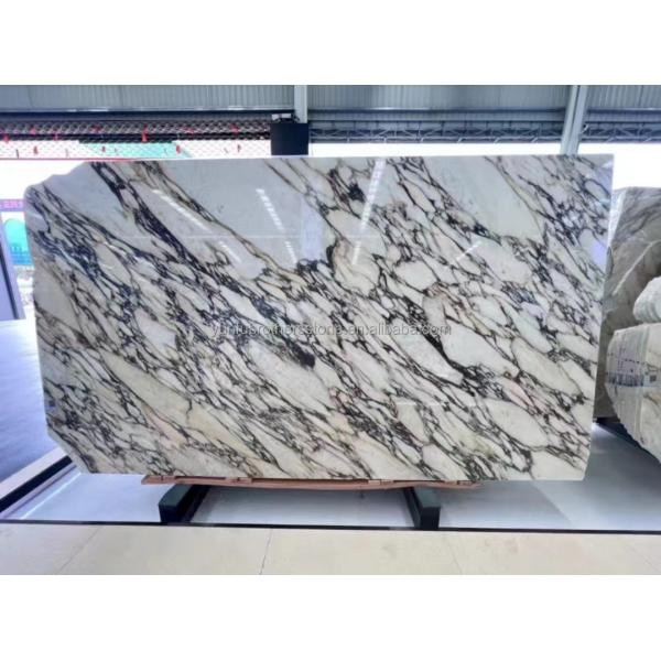 Natural Italian Calacatta Viola Marble Slabs for Modern Kitchen Countertop and Indoor Wall