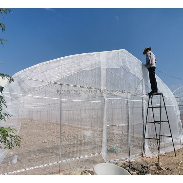 Durable Poly Small Agricultural Greenhouse Tunnel Roses Professional Flower Growing UV-Resistant PE Film Cover Ventilation
