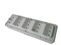 La surface de mur a monté les lumières menées rechargeables de secours avec 220-240V