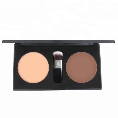 Moisturizer 45g Double Color Eyeshadow High Light Shading Powder