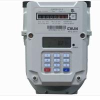 STS AMR Prepaid LORAWAN Gas Meter