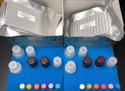 Professional ELISA Test Kit / ELISA instruments Manufacturing Technical Export