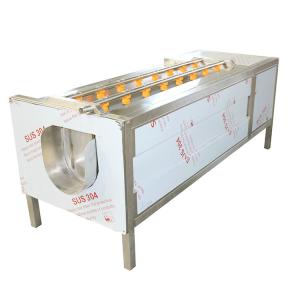 Máquina de descascar raízes e vegetais industrial para descascar cenouras 1400