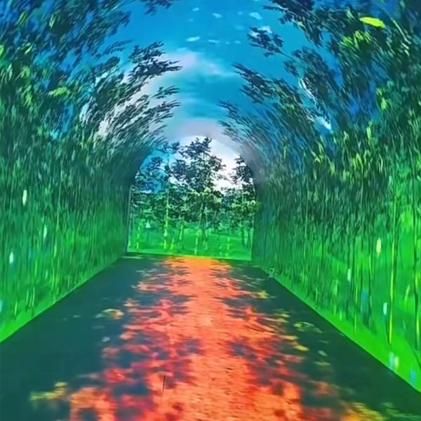 Immersive Flexible Curved LED Videos Walls Display 3D Interactive Tunnel LED Screen