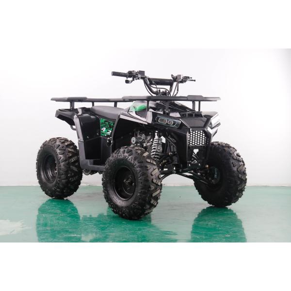 CE Certified 125cc 4 Stroke Petrol Beach Buggy with 8inch Wheels and 150kgs Max Loading