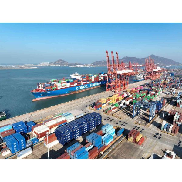 Professional Ocean Freight Forwarder with Door-to-Door Service, Real-Time Tracking, and DDP Solutions