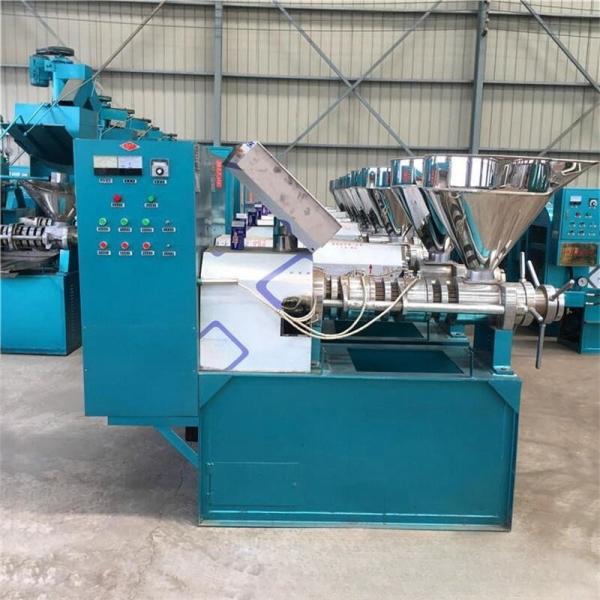125 KG NewStyle Coconut Soybean Copra Screw Expellers mustard seed diesel cold industrial oil press machine