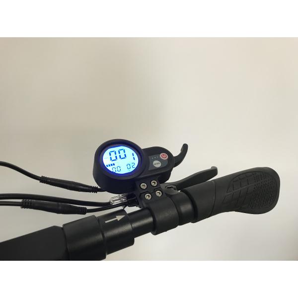 48V le MINI lithium deux électriques roulent le moteur sans brosse de équilibrage du scooter 250W d'individu