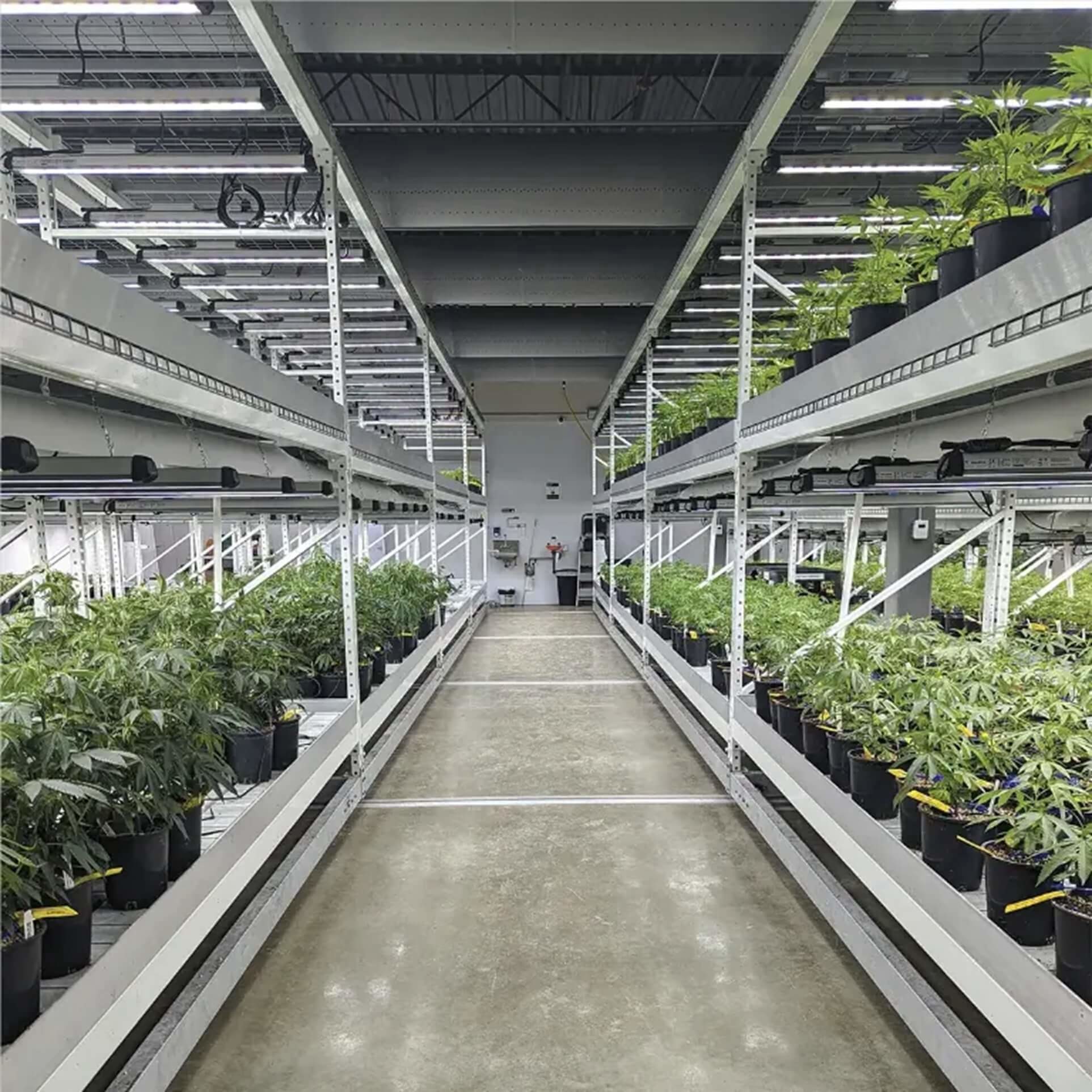 Indoor Farming - Vertical Grow System