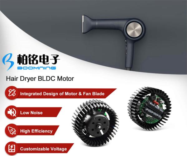 High Effiiciency Brushless DC Hair Dryer Motor