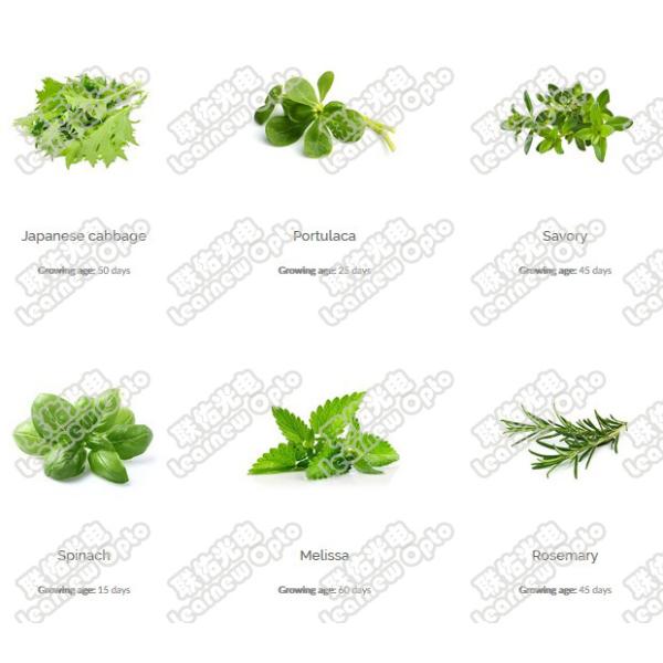 Вырастите обломок 100w 380-780nm 60-90umol/S СИД спектра светов полный