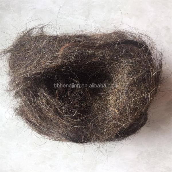 Washed Good Quality Clean Curled Horse Hair Waste for Mattress