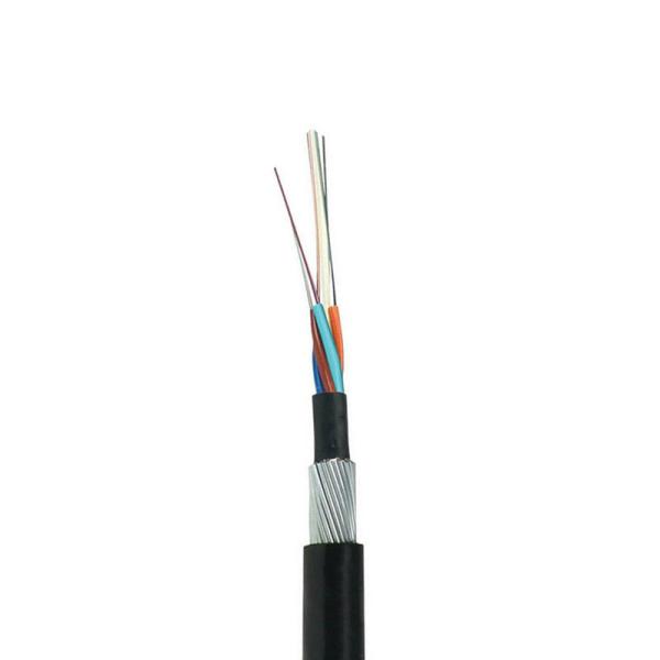 Outdoor Armored Fiber Optic Cable G652D GYTA 12 Core  Loose Tube Aluminum Tape PE Jacket Ideal for Backbone Network Installation