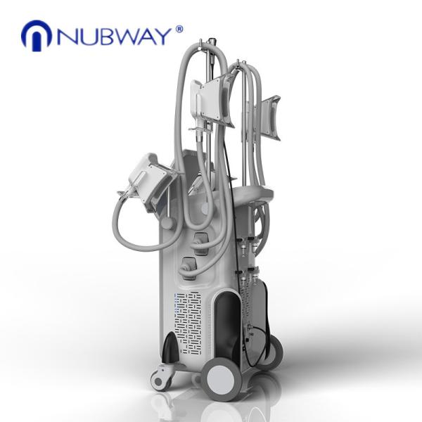 2018 Newest fat freezing lose weight cryolipolysis slimming machine for spa