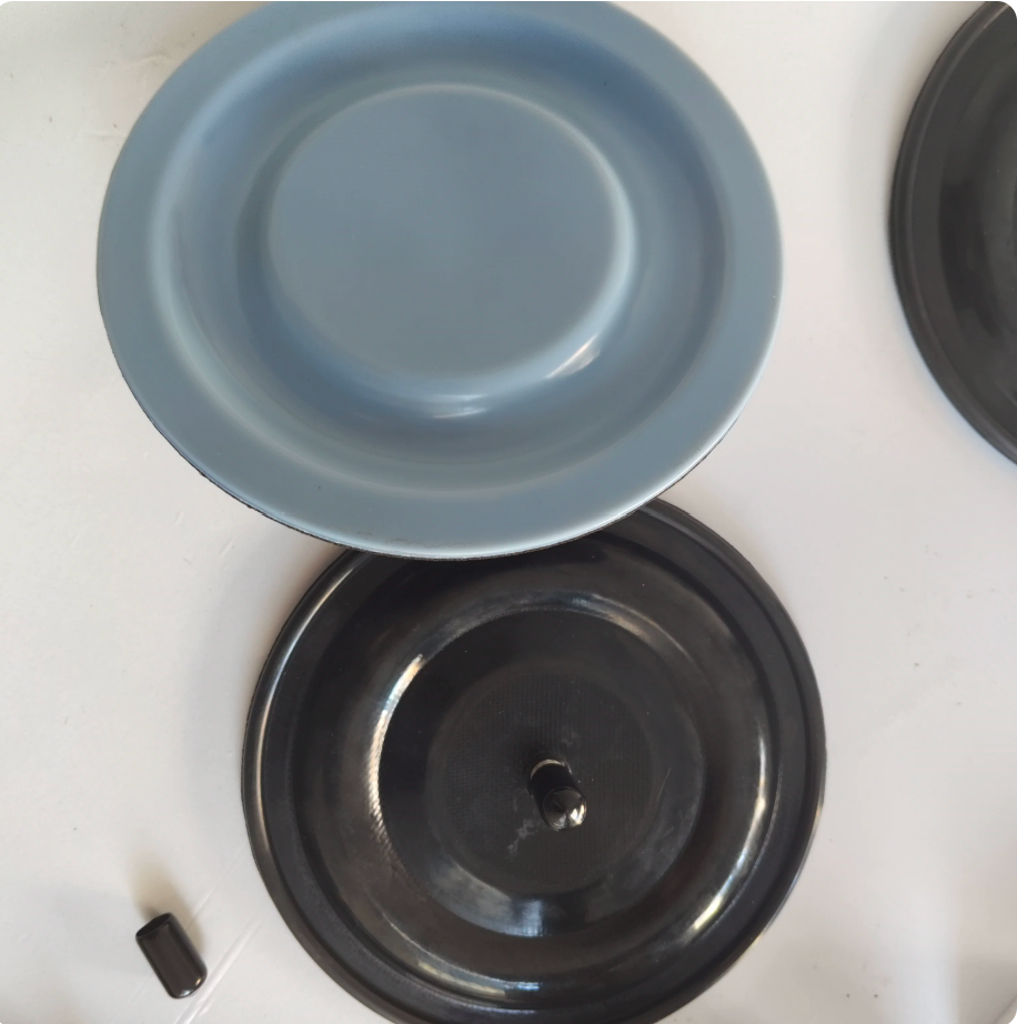 Composite Diaphragm Compatible With SEKO MM2H157G31C4S800 Diaphragm Pump, Wear Resistant Pump Spare Parts