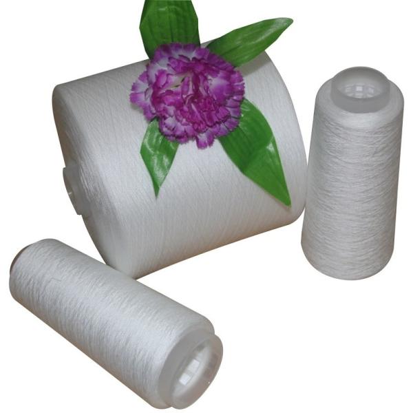20/3 30/2 40/2 100% Ring Spun Polyester Yarn Raw White Polyester Twisted Yarn Price