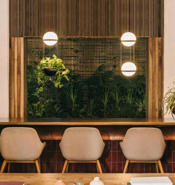 Plant Pendant Lights Modern Long Cord Plants Deco Chandelier Hanging Glass Ball Light(WH-GP-50)