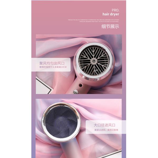 Advanced Blue Light Ion Technology Net Red Hair Dryer with High Power and Hot/Cold Air
