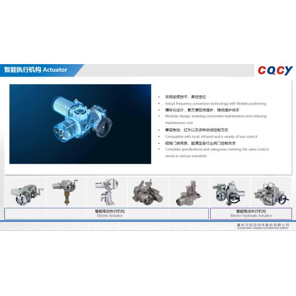 Chongqing Chuanyi Automation Limited