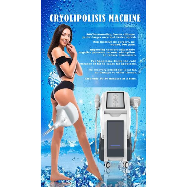 FDA 6pcs Handle 360 Cryolipolysis Slimming Machine Vacuum Cavitation RF