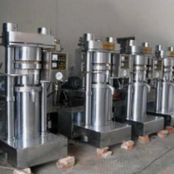 Large Capacity Hydraulic Oil Presser for Extracting Peanut/Linseed/Sunflower Seed Oil