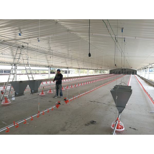 Heavy Duty Steel Chicken Coop with Flexible Layout Design and Galvanized Steel Construction