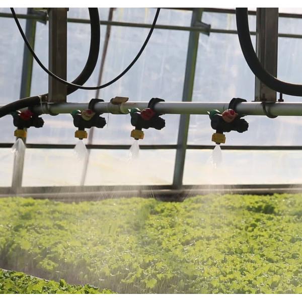 Invernadero de hidroponía de doble arco para flores y tomates con soplador de aire caliente/calentador de agua caliente