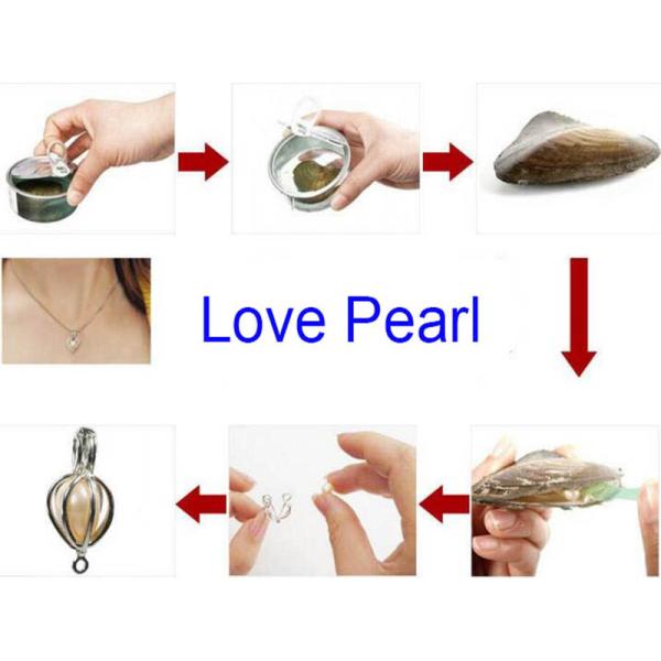 Amazing Holiday Gift Wish Pearl Necklace Set Oyster Drop Pendant with 6-7mm Freshwater Pearl