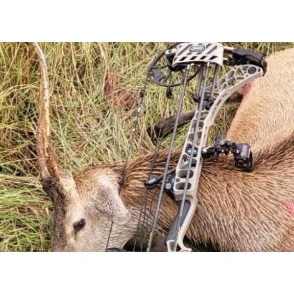 Venta al por mayor de flechas de caza, flechas de blanco, flechas de tiro con arco en 3D, pernos de ballesta, fabricante, proveedor