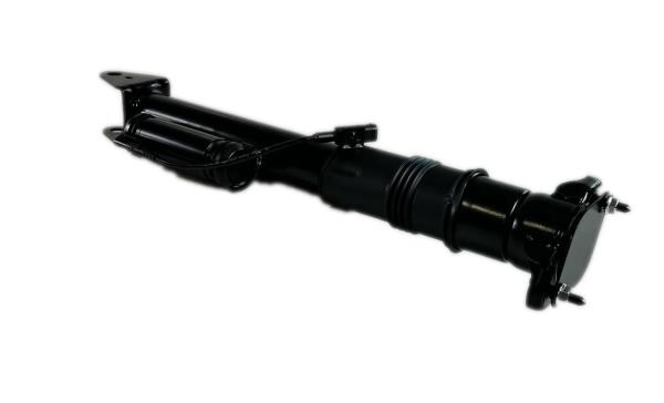 ISO W251 Mercedes Benz Air Suspension Rear Strut Replacement 2513201931