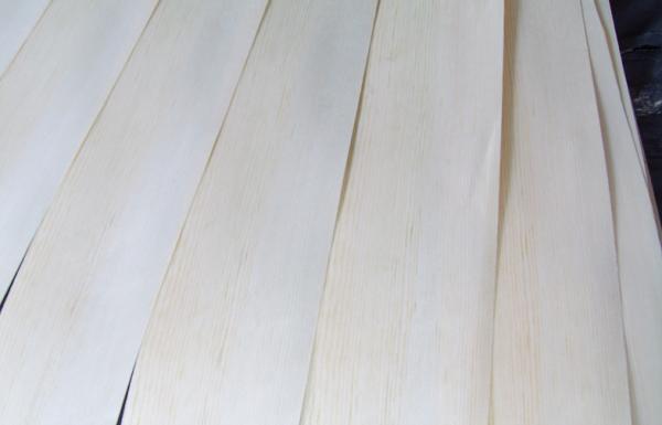 0,45 do pinho amarelo do quarto milímetros de folheado do corte com grão reta fina