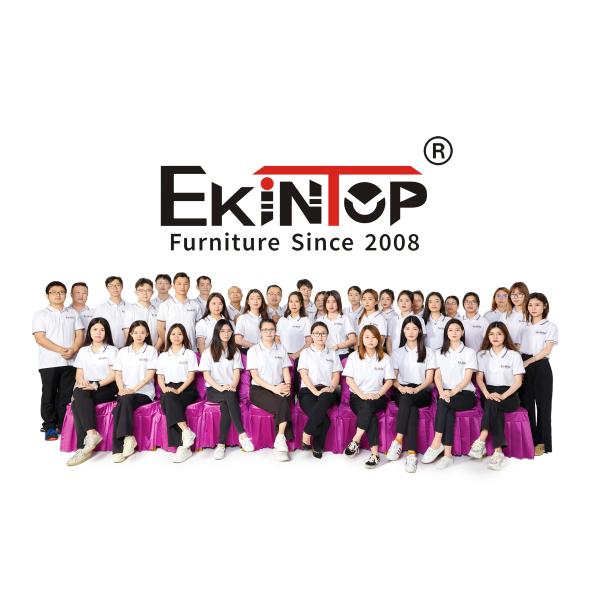 Guangdong Esun Furniture Technology Company Limited