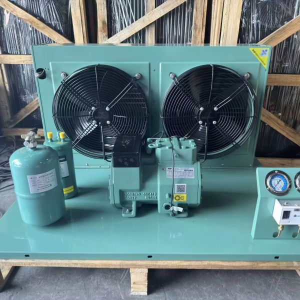 Essential Outdoor Energy-Saving Refrigerator Components Motor 5HP Cold Piston Compressor Air-Cooled Condensing Units (R404a)