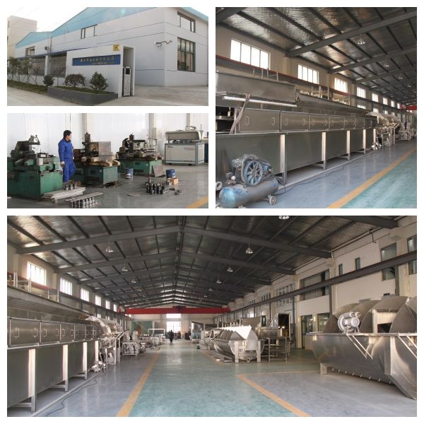 Chicken Plucker Machine Small Poultry Abbatoir Poultry(pollos) Meat Processing Chicken Processing Equipment